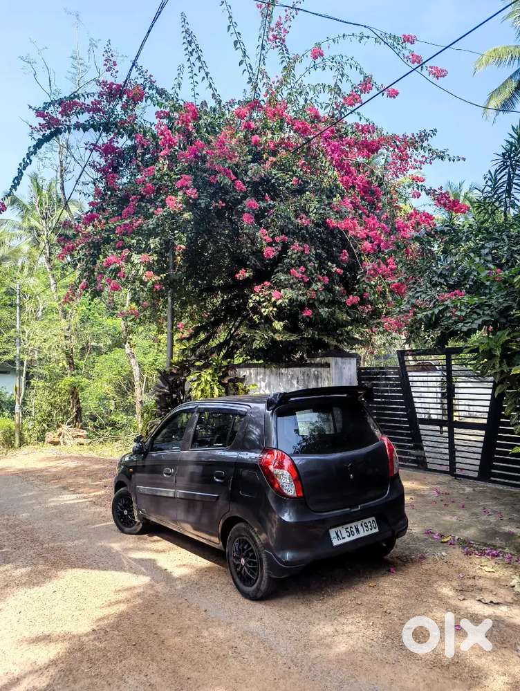 Maruti Suzuki Alto 800 2016