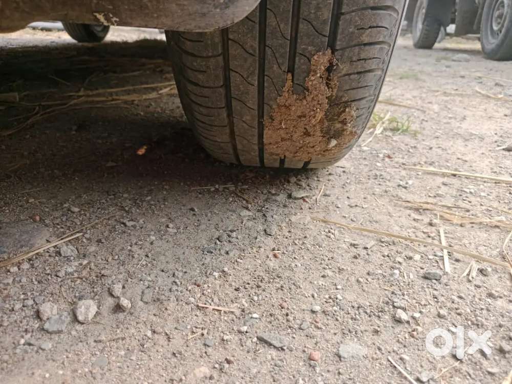 Maruti Suzuki Xl6 2024 Petrol 40000 Km Driven Show Room Track