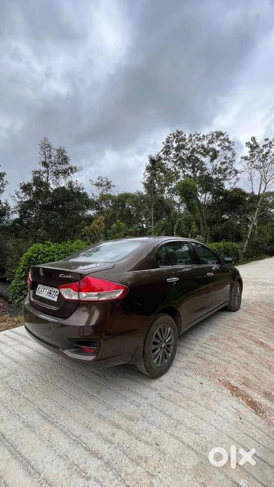 Maruti Suzuki Car 2014