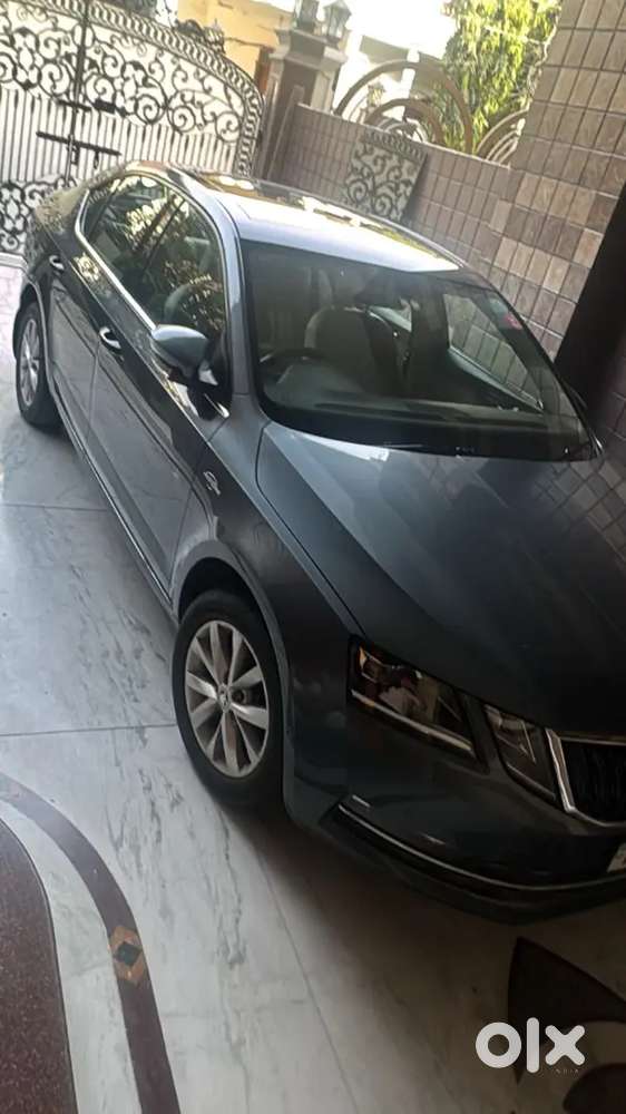 Skoda Octavia 2017 Petrol 15,600 Km Single Owner  Showroom Condition