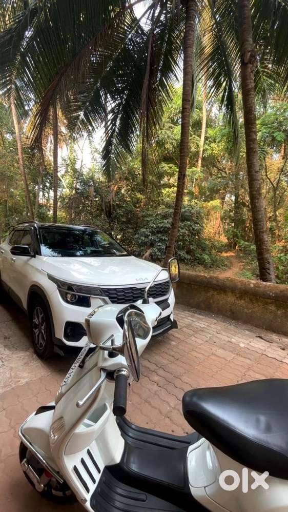 Kia Seltos 2019 Petrol Well Maintained