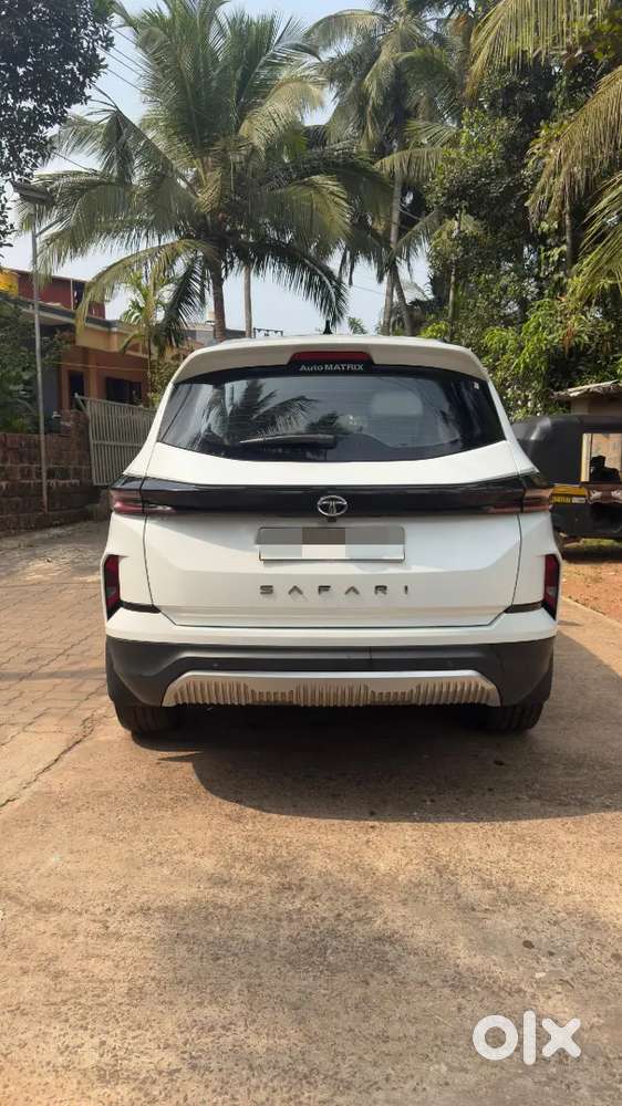 Immaculate Condition Safari