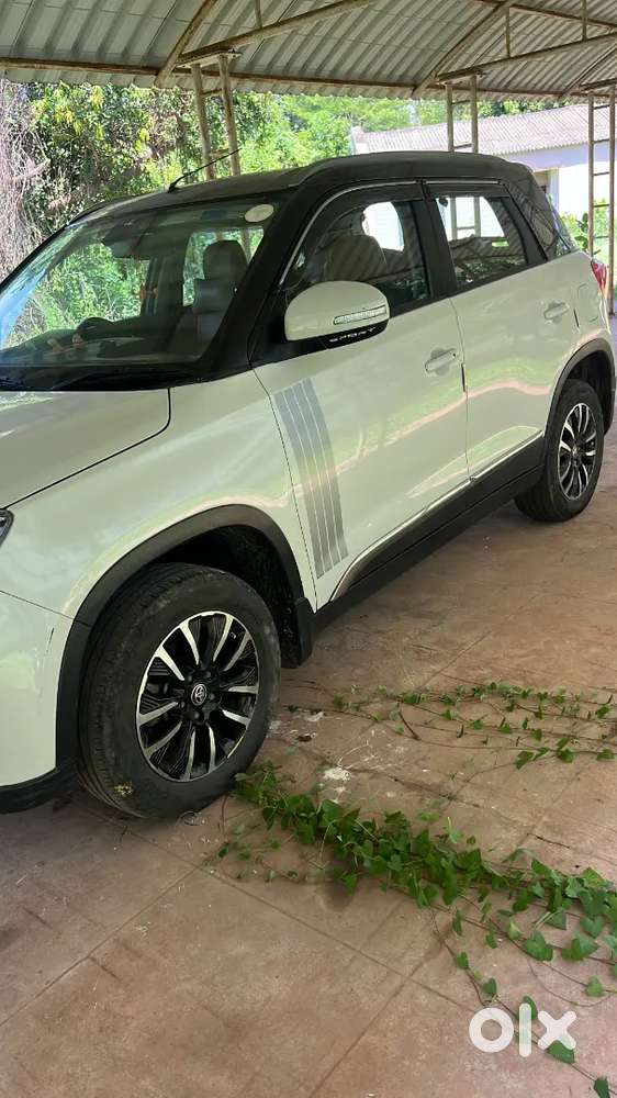 Toyota Urban Cruiser 2021