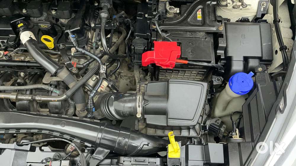 Ford Freestyle Titanium Plus Petrol, 2021, Petrol