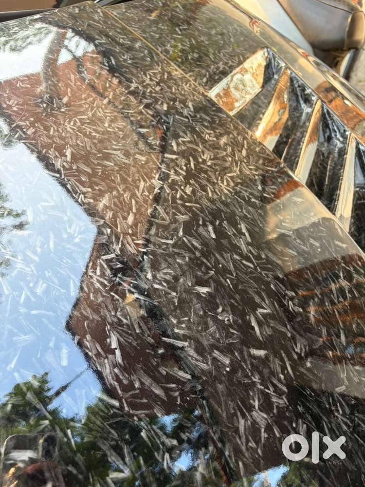 Volkswagen Polo Modified 2016