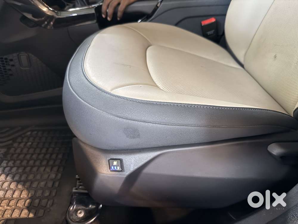 Tata Nexon Xz Plus Luxs Kaziranga, 2023, Petrol