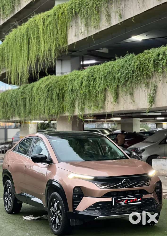 Tata Curvv, 2025, Petrol