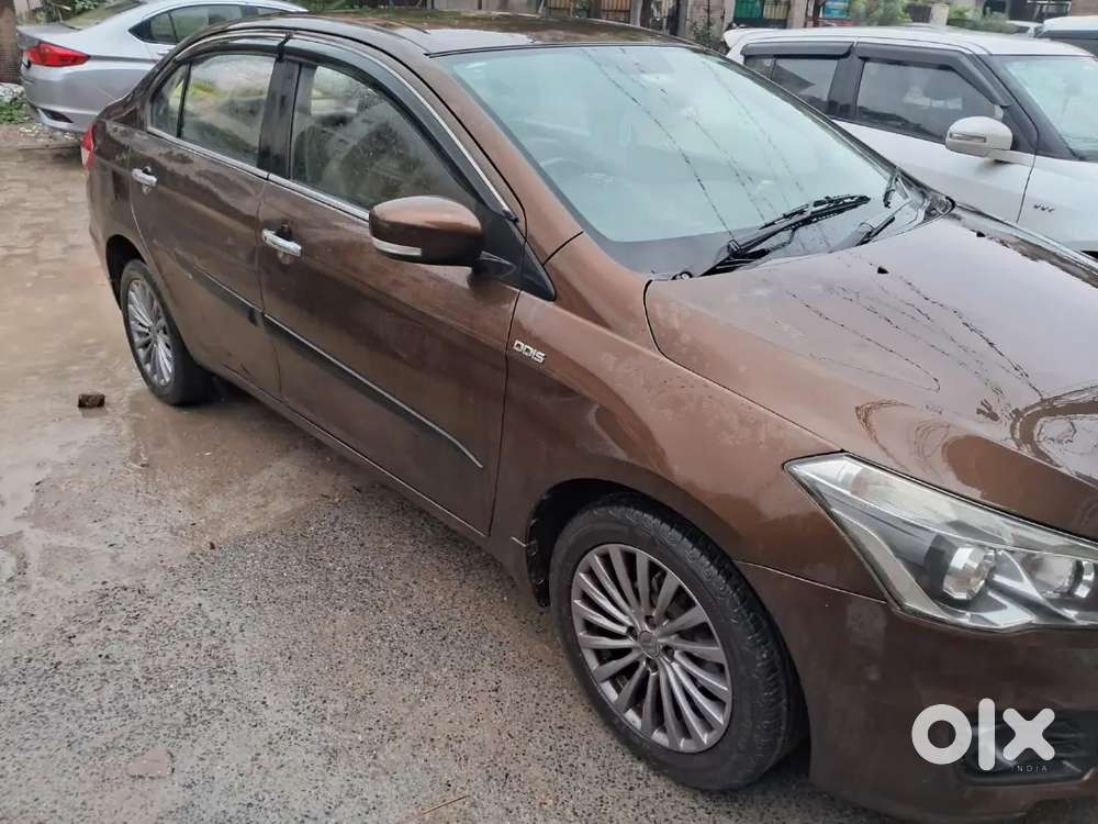 Maruti Suzuki Ciaz Zdi Plus Shvs 2017