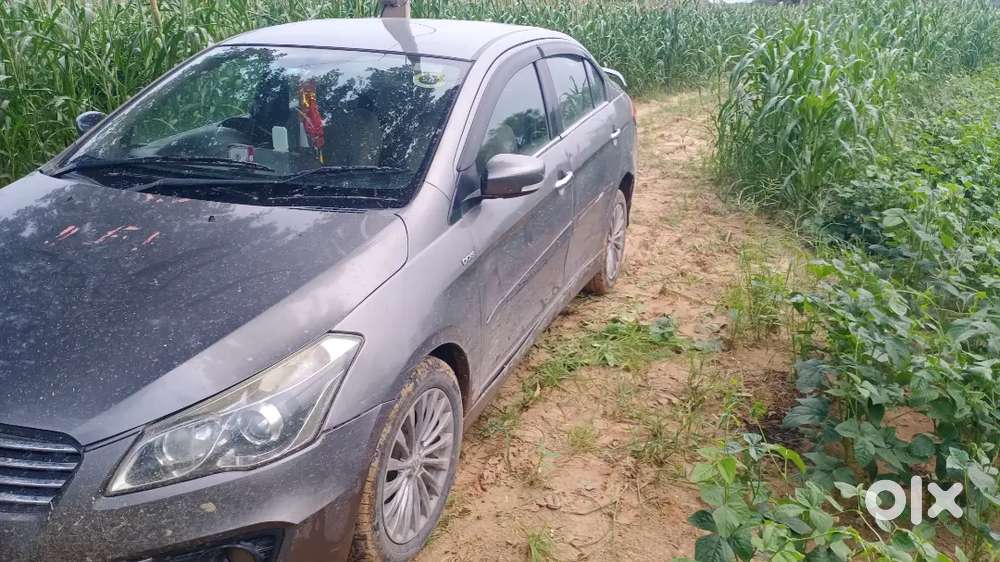 Maruti Suzuki Ciaz 2017