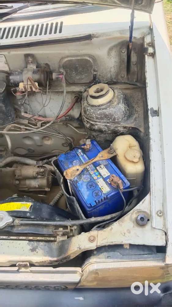 Maruti Suzuki 800 2010