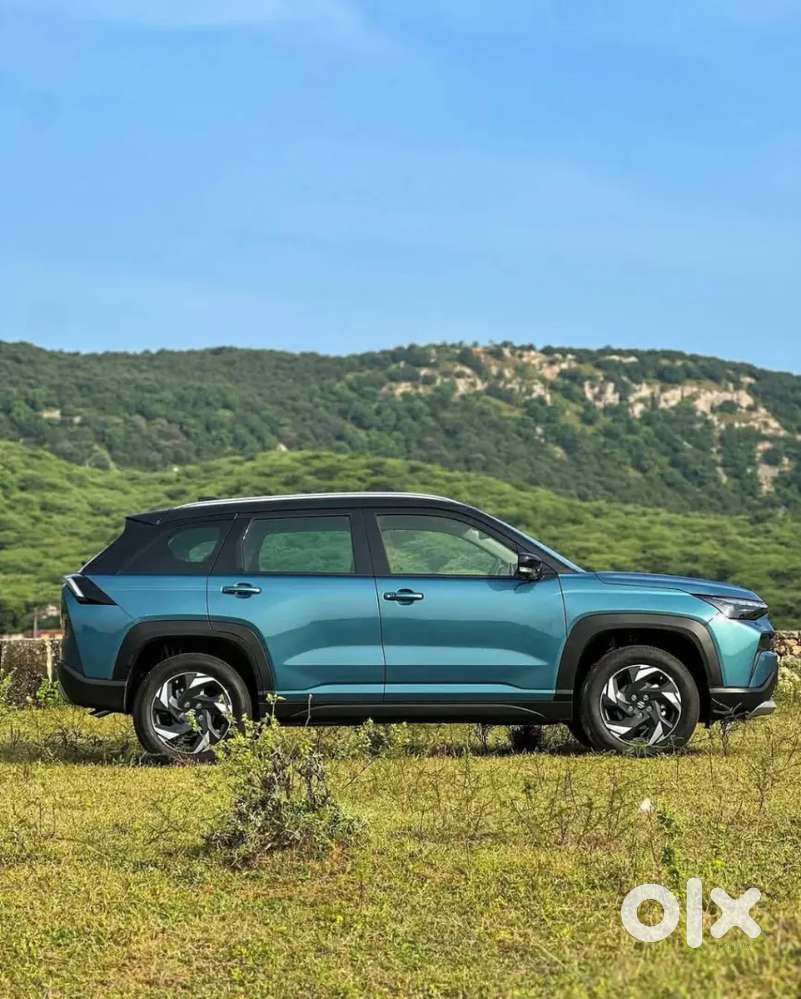 Victoris Smart Hybrid&strong Hybrid!