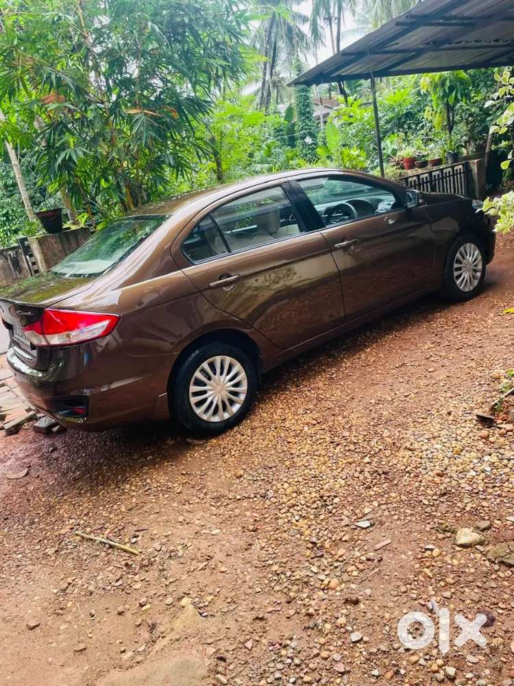 Maruti Suzuki Ciaz Vdi 2016 Model