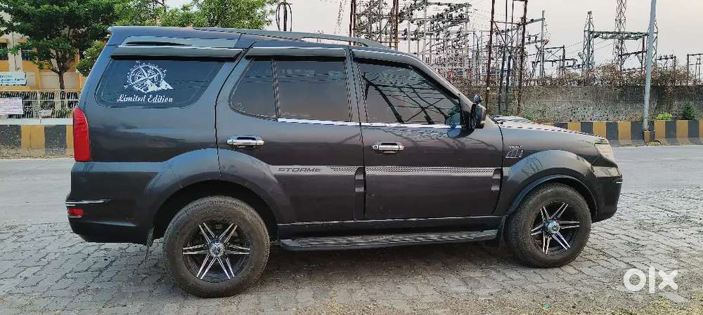 Family Cartata Safari