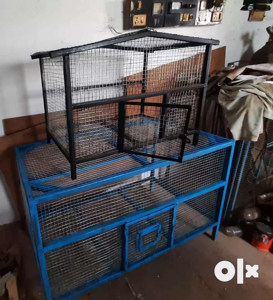 Love birds cheap cage olx