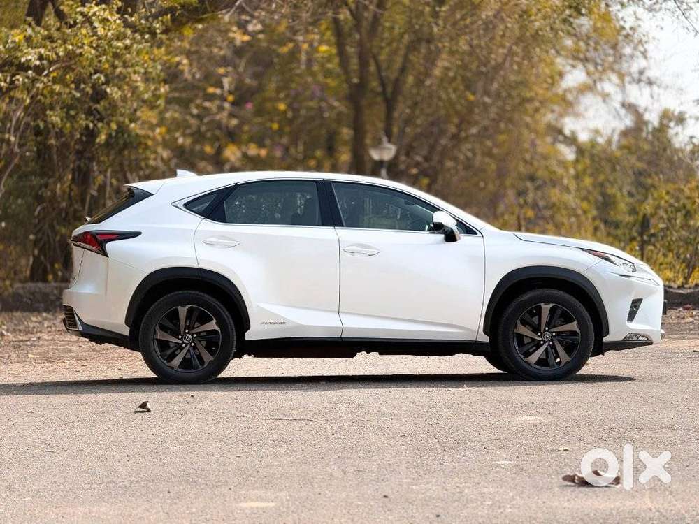 Lexus Nx 300h, 2019, Petrol