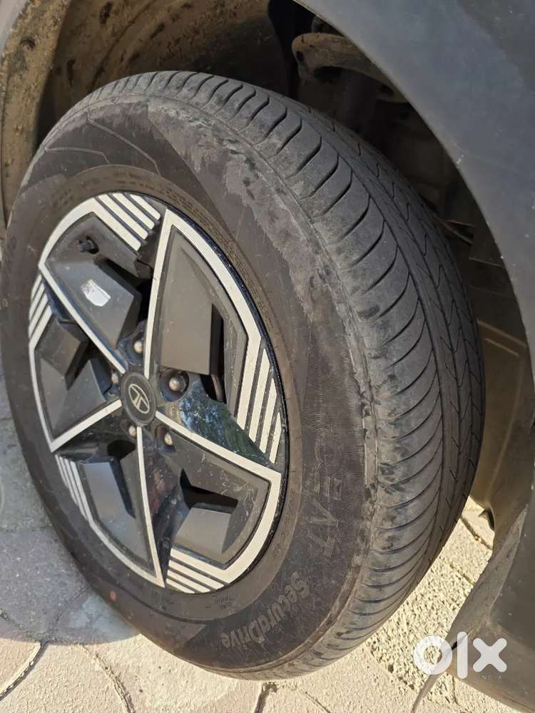 Jh09bf0588 New Nexon Diesel Mt Fir Sell At Bokaro Jharkhand