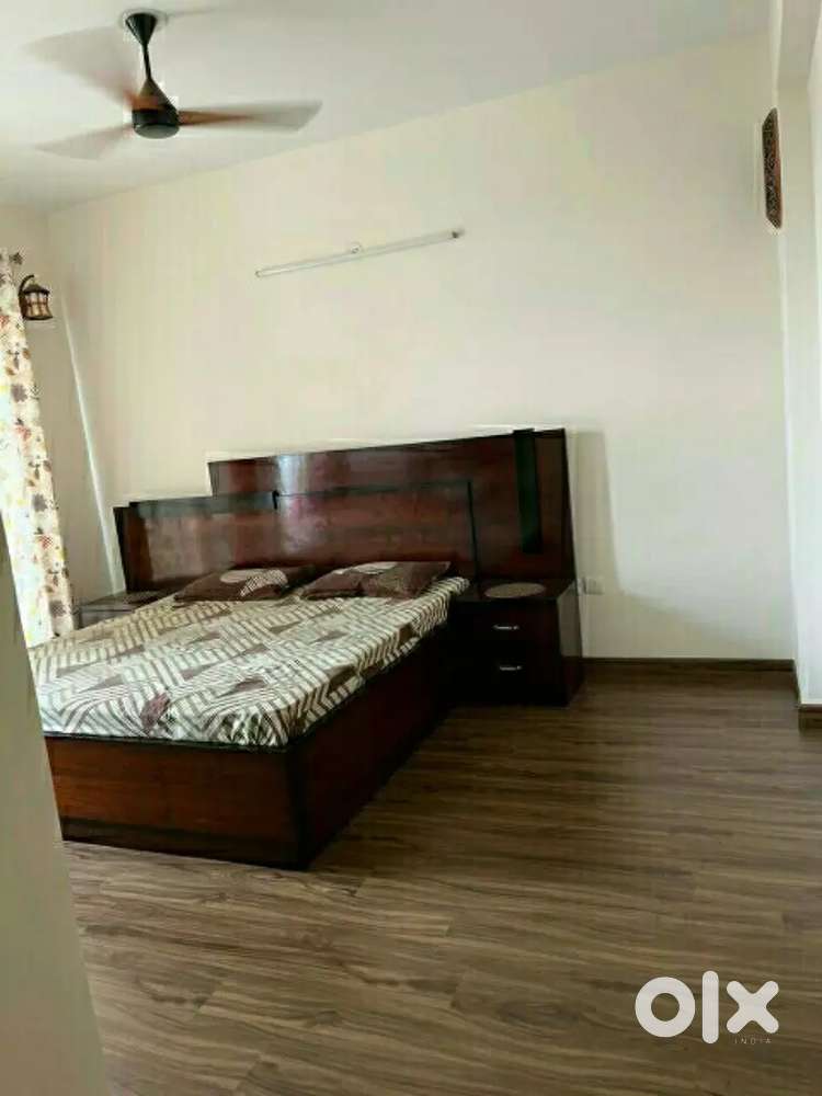 2bhk flat furnished sector20 panchkula For Rent Houses & Apartments
