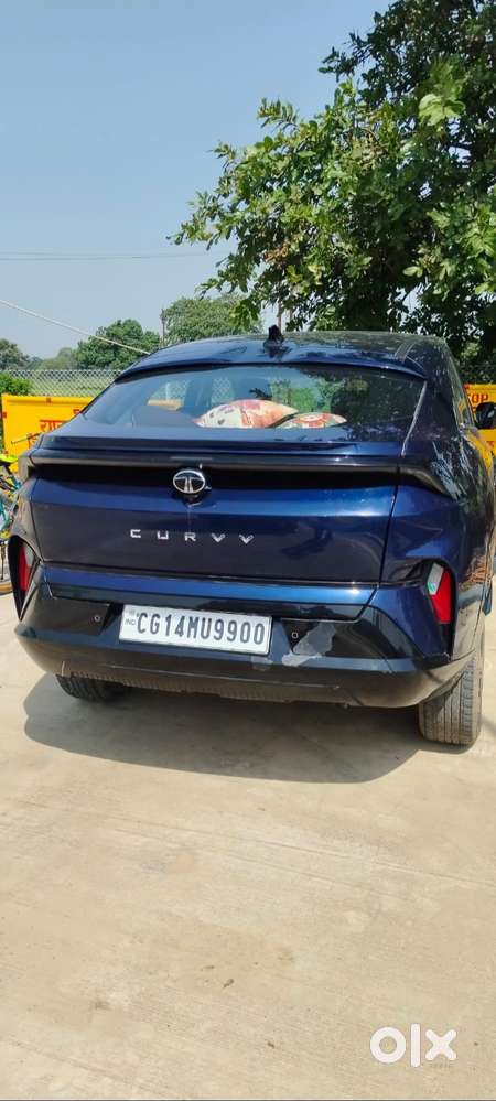 Tata Curvv 2024 Petrol