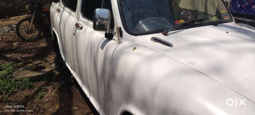 Ambassador Ambassador 2007