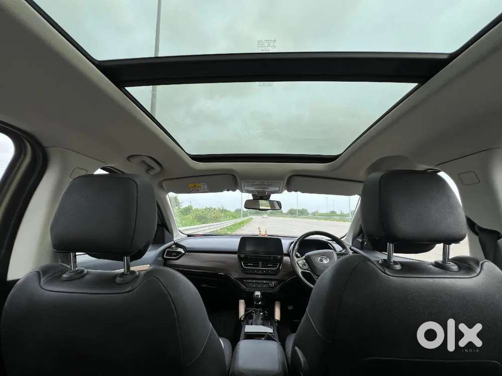 Tata Harrier Zxa Plus Kaziranga