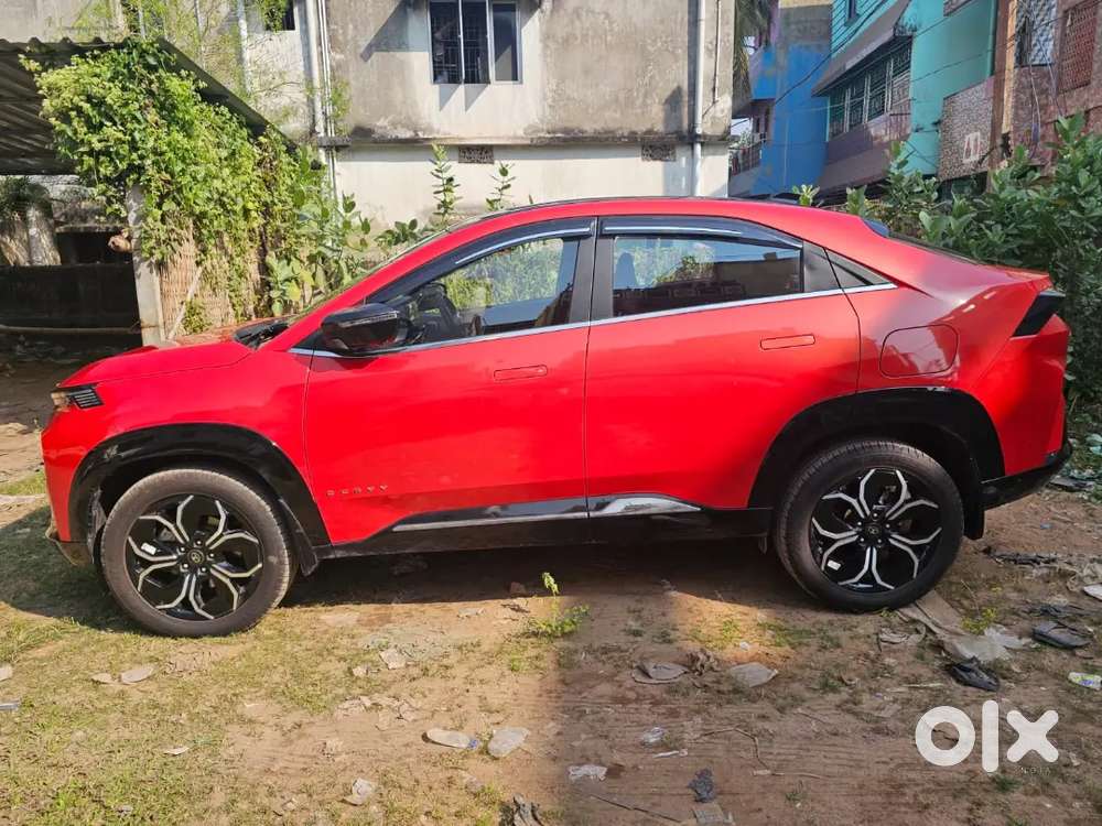 Tata Curvv Oct' 2024 Diesel Top Model Manual