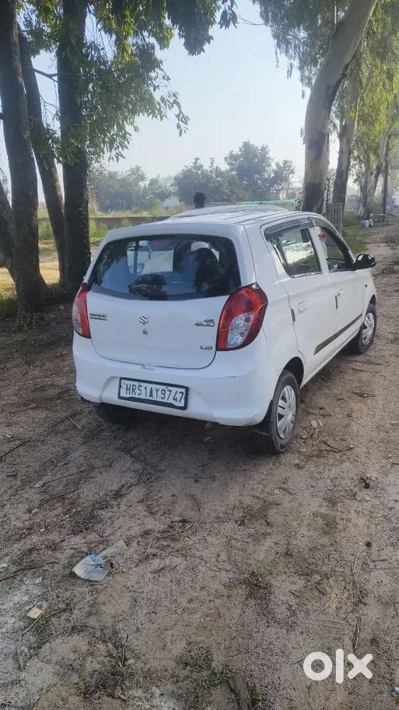 Maruti Suzuki Alto 800 2014 Cng Good Condition