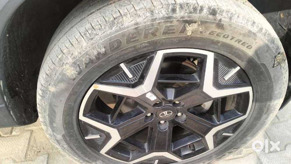 Tata Safari Accomplished Plus Dual Tone, 2024, Diesel