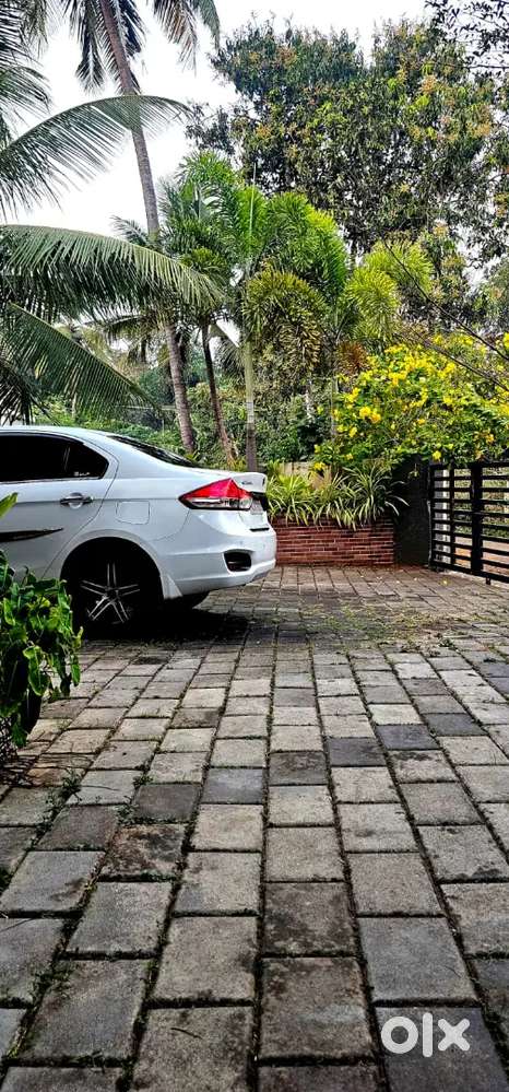 Ciaz Maruti Suzuki 2018