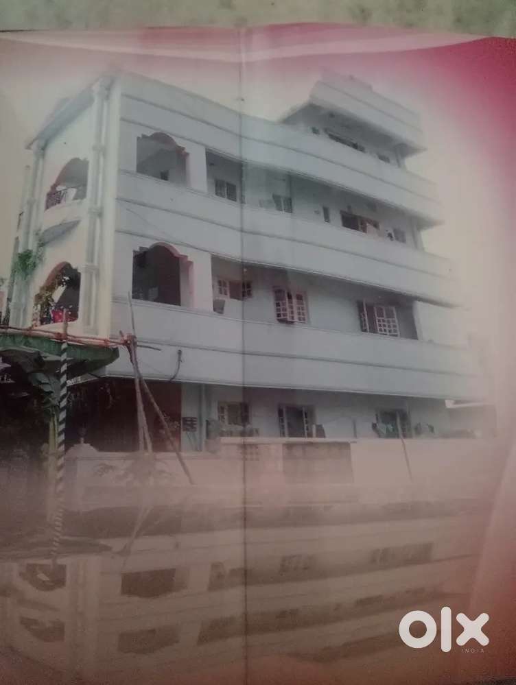House for rent or office
