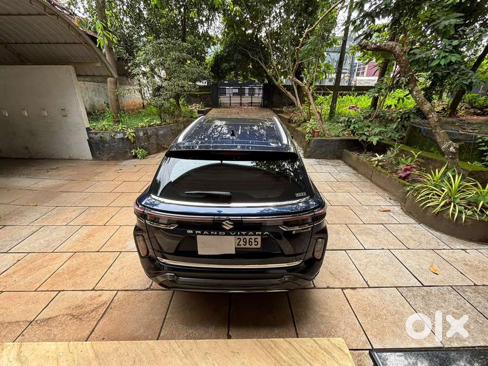 Maruti Suzuki Grand Vitara 2023 Model 2024 May Registered
