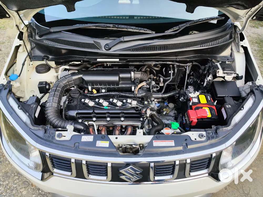 Maruti Suzuki Ignis 2023 Petrol 25900 Km Driven