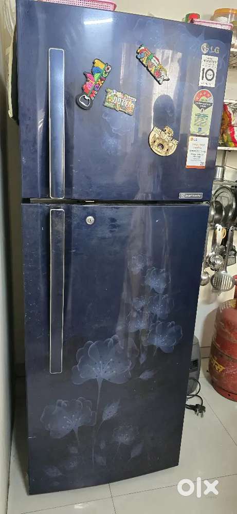 Fridge and Washing Machin