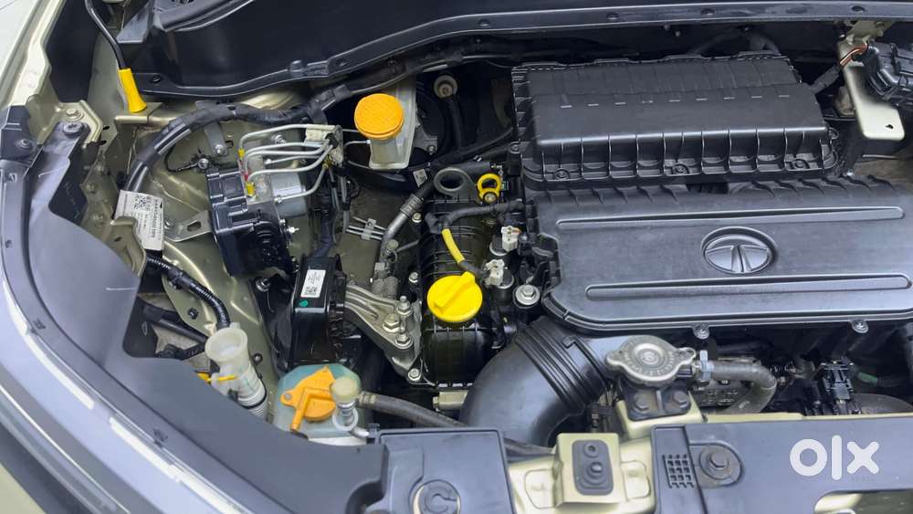 Tata Punch 1.2 Revotron Creative Mt Kaziranga Edition, 2022, Petrol