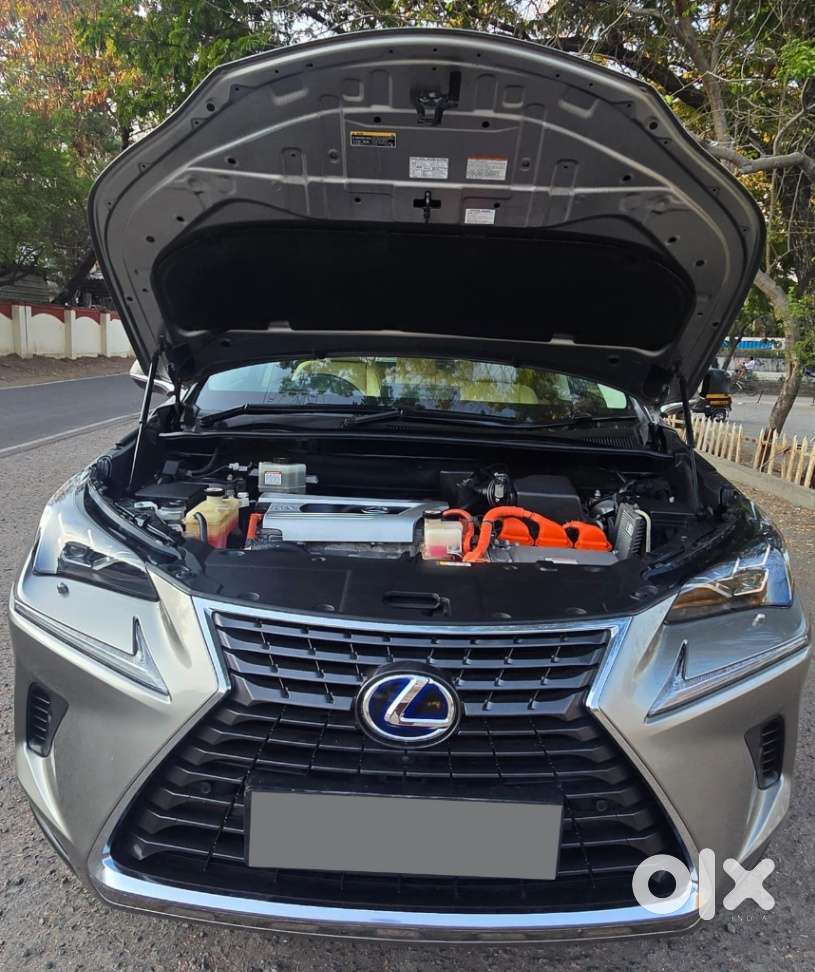 Lexus Nx Lexus-nx-300h-luxury, 2019, Petrol
