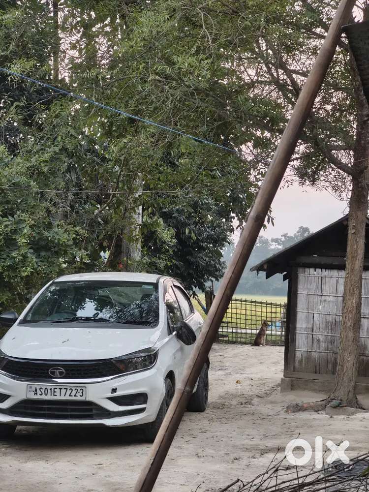 Urgent Sale A Tata Tigor For Money Problem