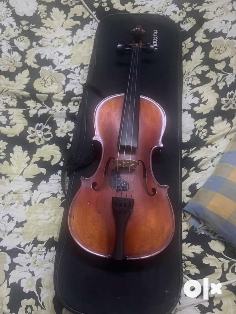 Olx violin top