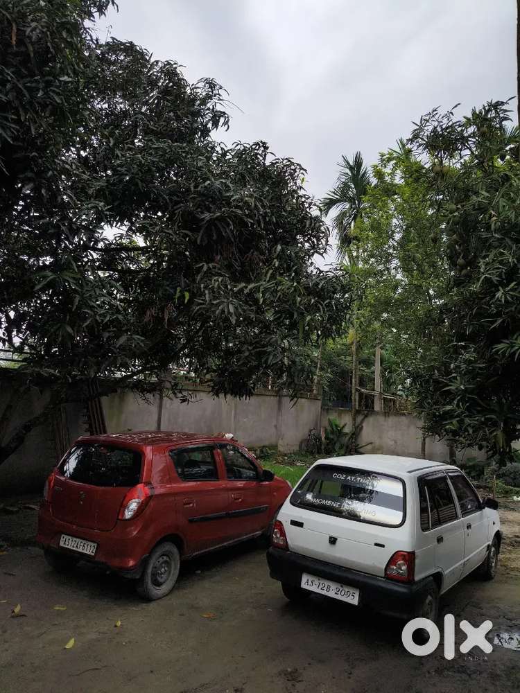 A1 Condition Car