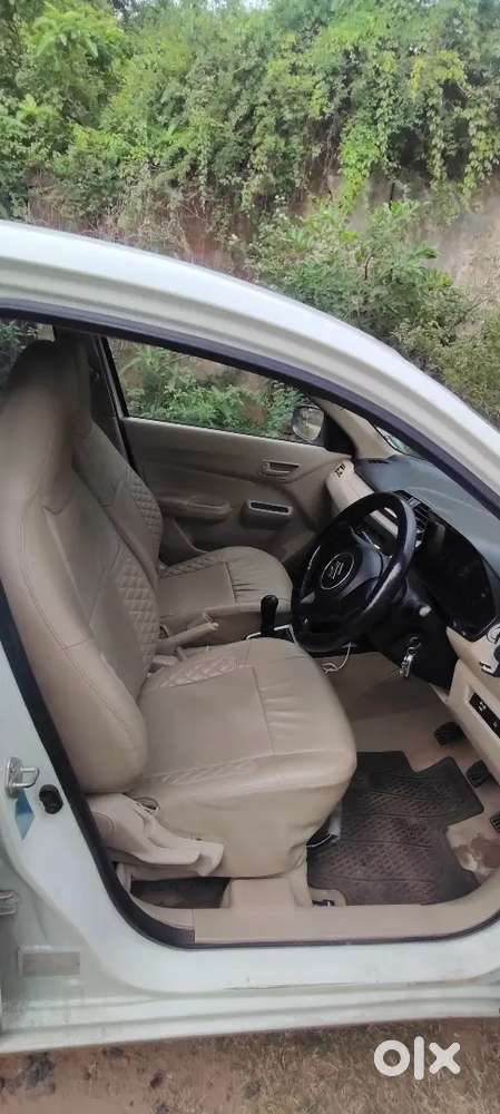 Maruti Dzire Tour 2024