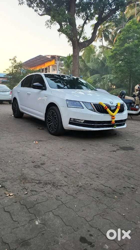 Skoda Octavia 2019 Diesel Well Maintained