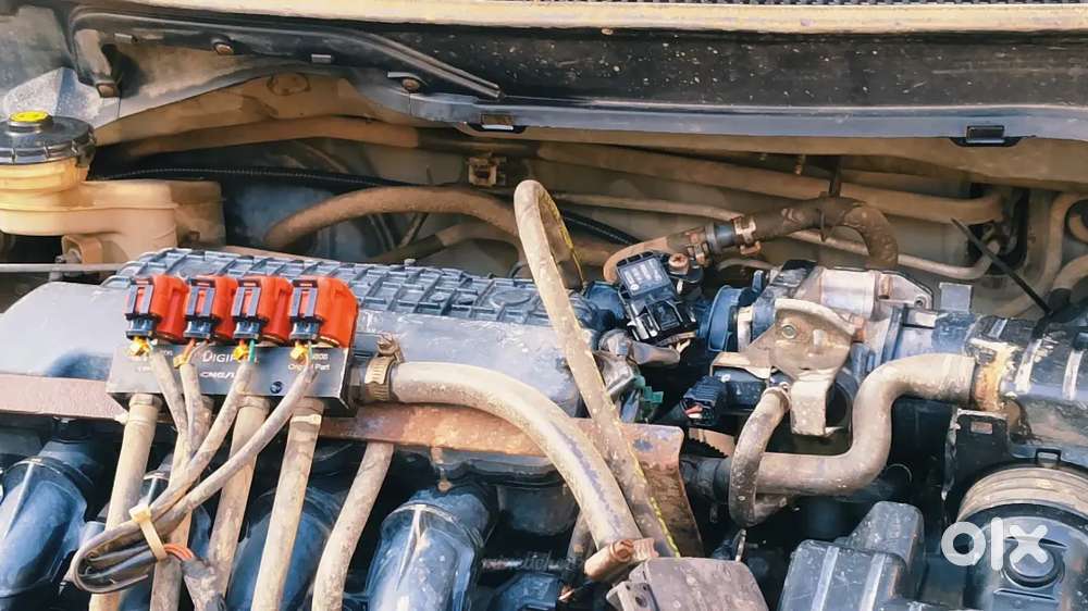 Honda Amaze Ivtec Petrol/cng