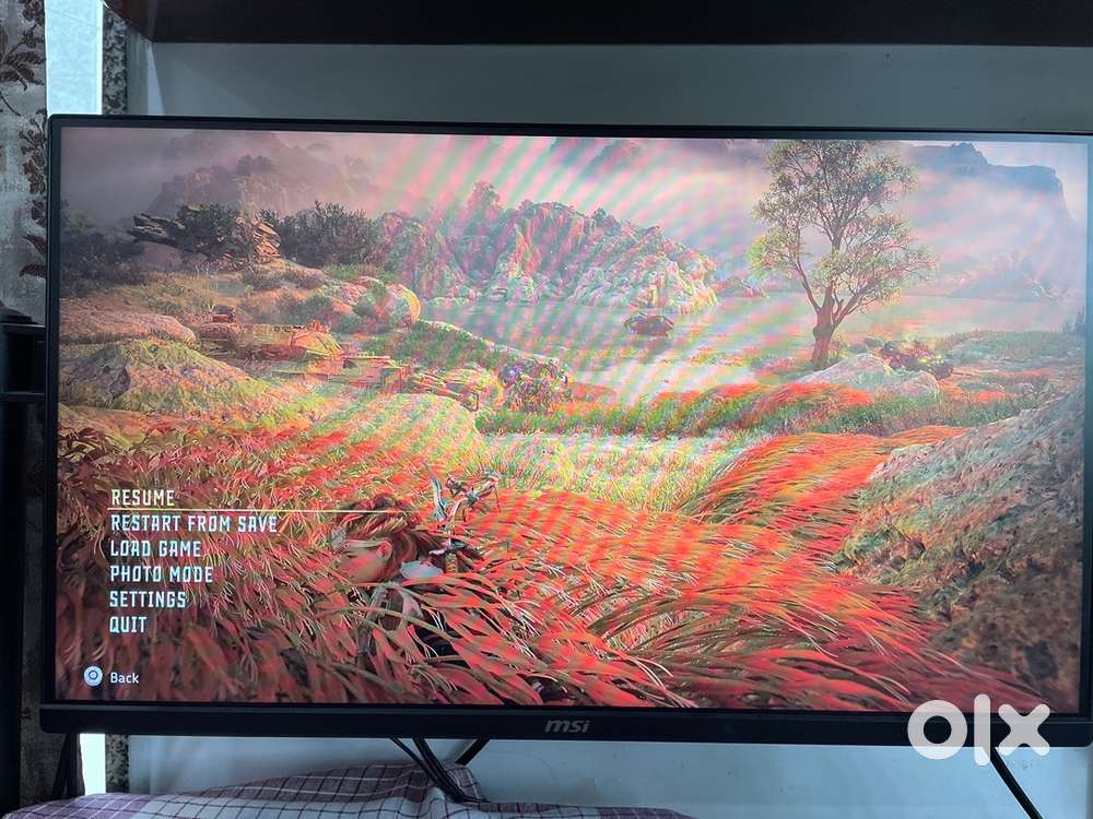 MSI 24.5 inch IPS panel monitor