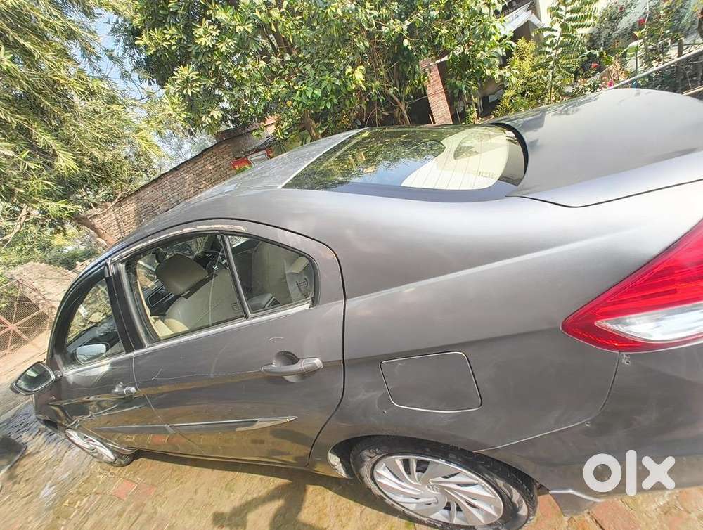 Maruti Suzuki Diesel 2019