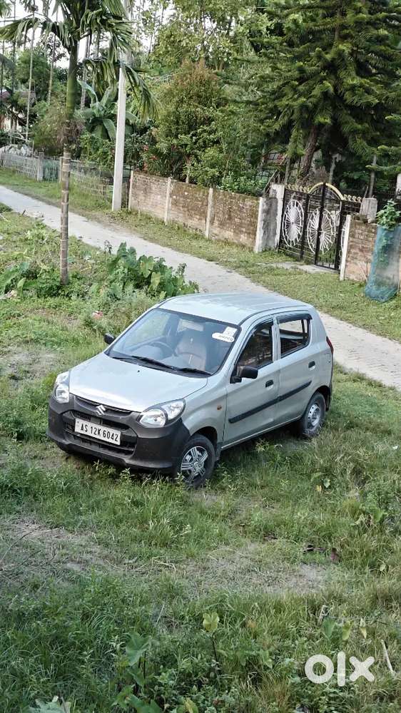 Maruti Alto 800 2013 Not Any Issue In Engine