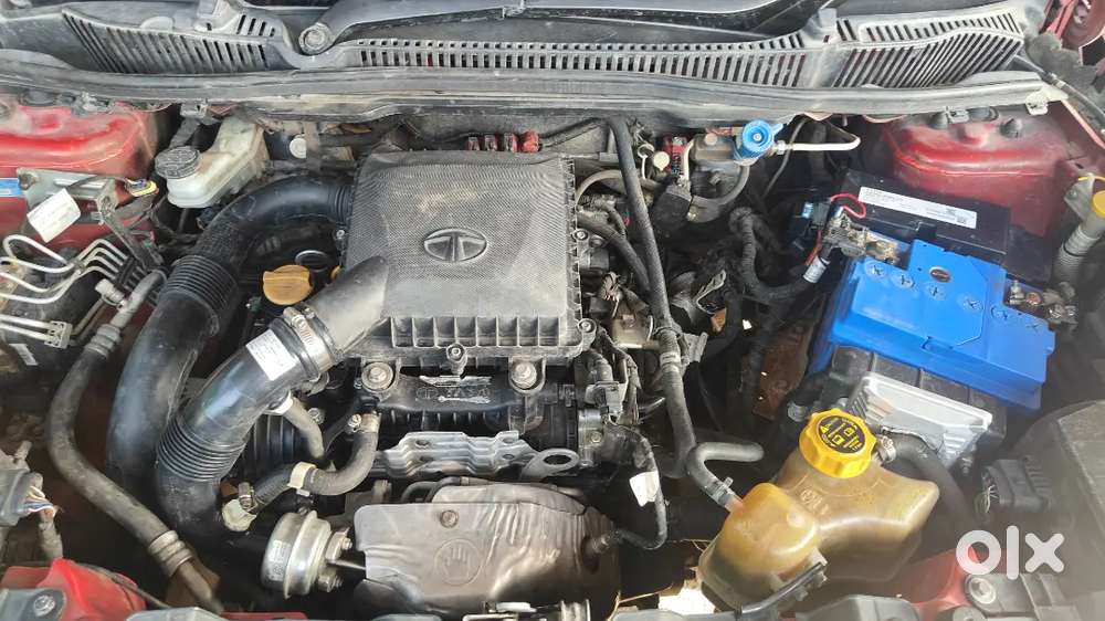 Tata Nexon Cng Feeting 2020 Petrol 119000 Km Driven