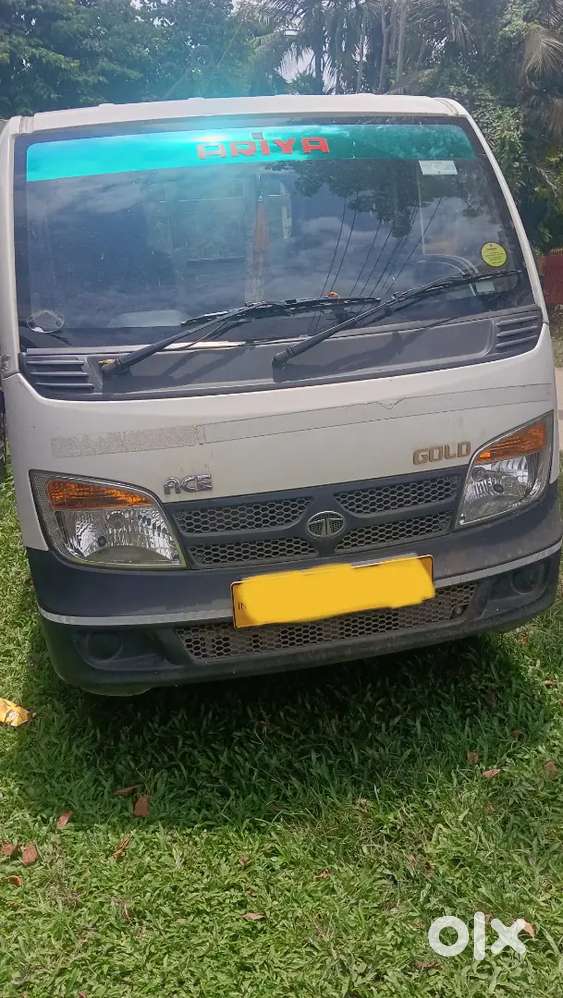 Tata Ace Gold