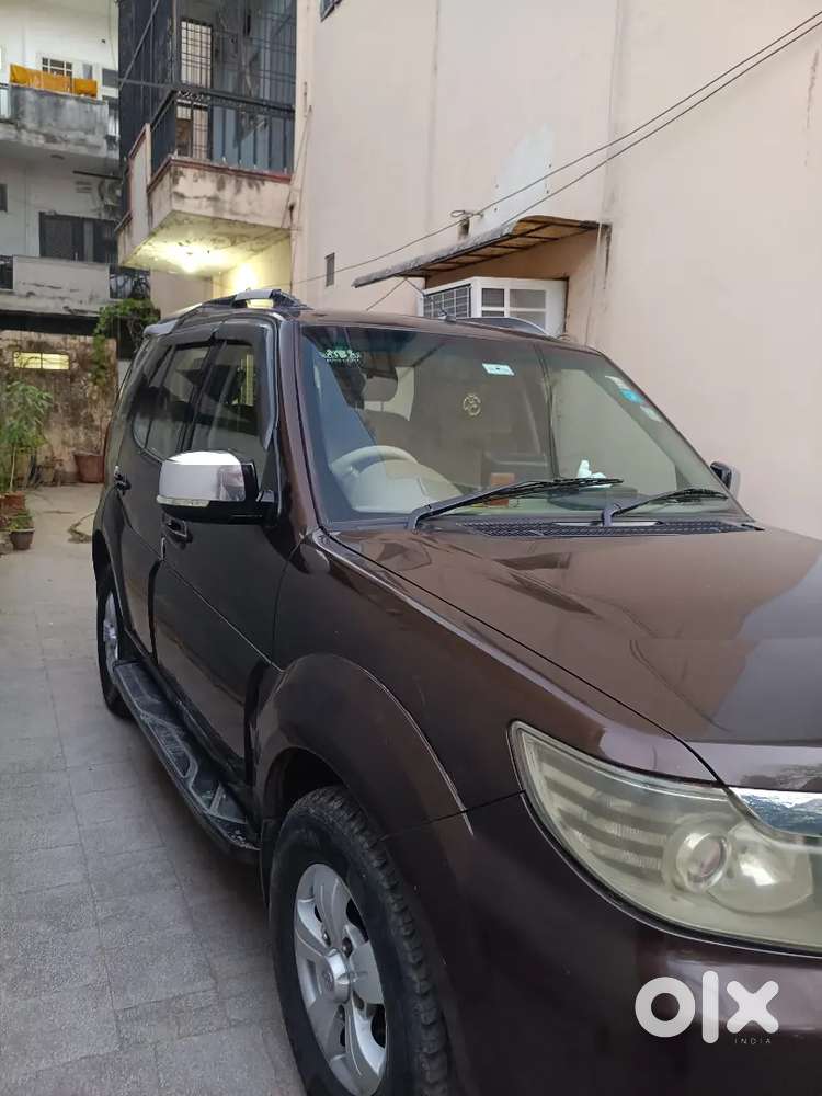 Safari Storme Manual 2013 Model Brown Colour