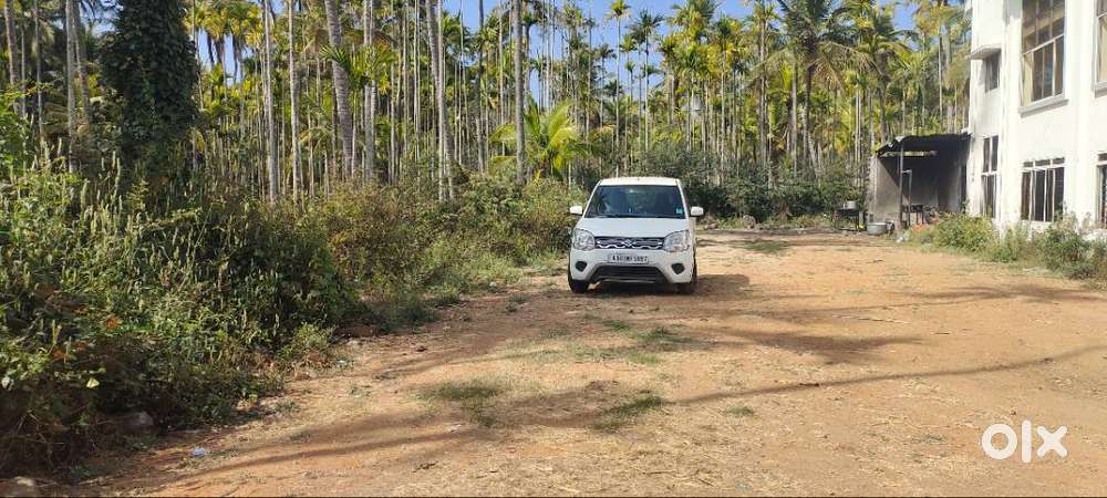 Maruti Suzuki Wagon R 2019 Petrol Good Condition