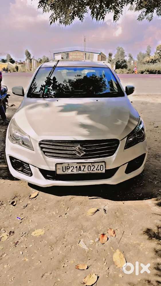 Ciaz Diesel Maruti 2015