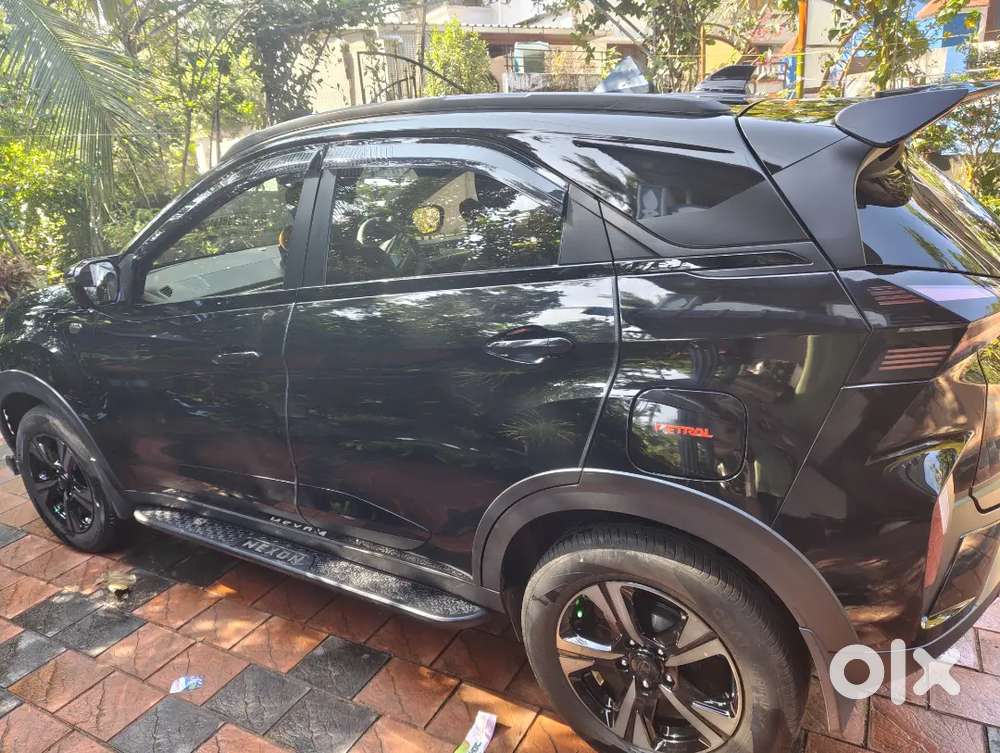 Tata Nexon 2025 Petrol Well Maintained