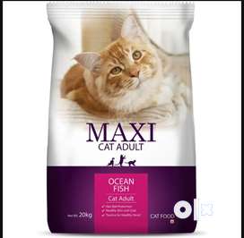 Cat Buy Sell Pet Food Accessories Online in Dockyard Road OLX